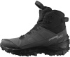 Ботинки CROSSTRAK POWDER WP (RU 41.5 UK 8.5 USm 9 СМ 26.5; asphalt/black/sharkskin)